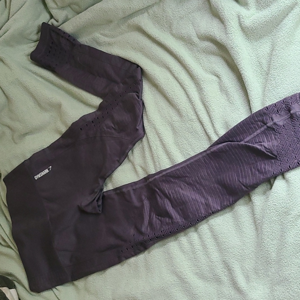 Gym shark leggings